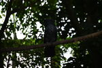 DSC_9142.JPG